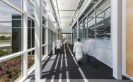 Natural light helps keeps electricity costs down and building occupants are able to maintain a visual connection with the outdoors—one of the building’s main design elements. 