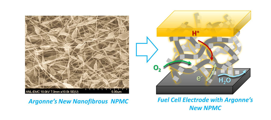 Argonne’s highly efficient non-precious metal catalyst electrode prepared using earthly abundant low-cost materials could replace expensive platinum in fuel cell applications.