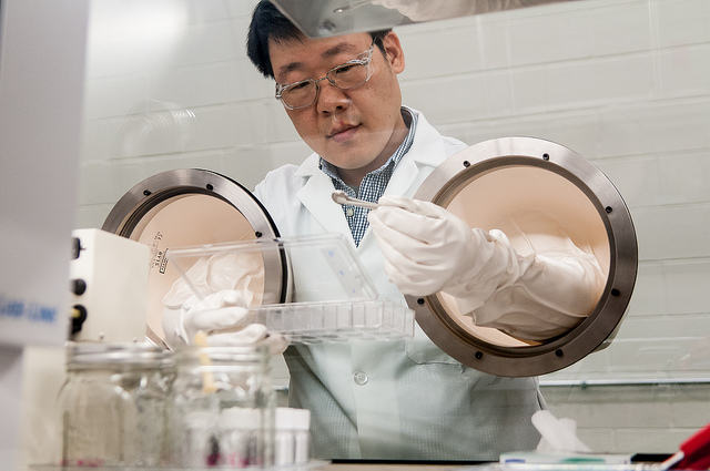 Argonne material engineer YoungHo Shin prepares a coin cell battery in a glovebox in the Materials Engineering Research Facility. Once it is prepared, the battery can be tested to determine the energy output characteristics of a cathode material for lithium-ion batteries.