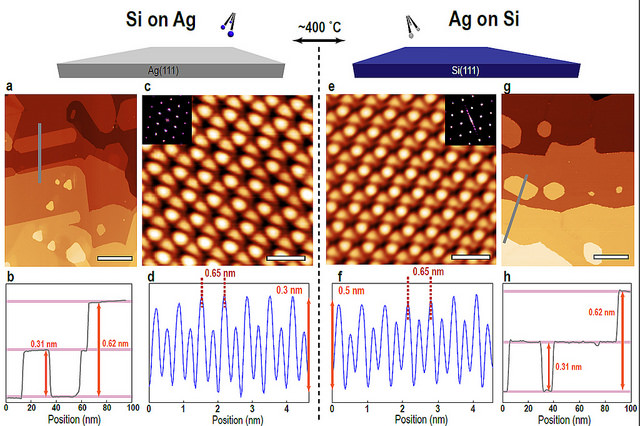 Argonne researchers investigating the properties of silicene (a one-atom thick sheet of silicon atoms) compared scanning tunneling microscope images of atomic silicon growth on silver and atomic silver growth on silicon. The study finds that both growth processes exhibit identical heights and shapes (a, g), indistinguishable honeycomb structures (c, e) and atomic periodicity (d, f). This suggests the growth of bulk silicon on silver, with a silver-induced surface reconstruction, rather than silicene.