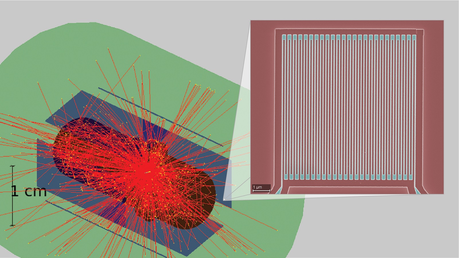 Simulation of high-speed superconducting nanowire detectors to be used in nuclear physics experiments. Green: cryogenic environment (near absolute zero) of experiment; purple: detectors; red, photons emitted from solid ammonia target at center. Inset: one of the Argonne devices in the detectors (scale bar, 1 µm).