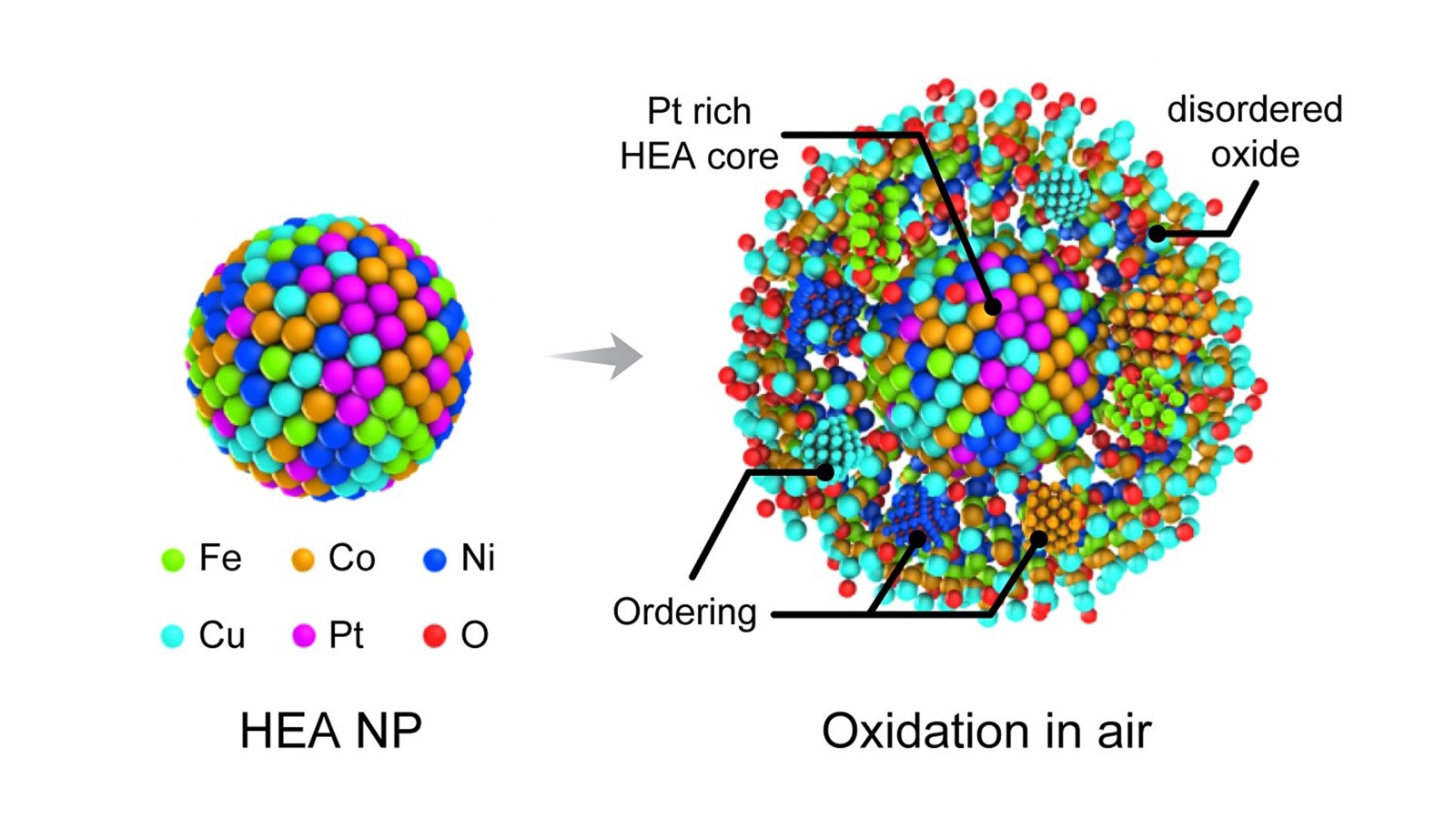 Illustration of the movement of different molecules during the oxidation of high-entropy alloy nanoparticles. (Image by University of Illinois Chicago.)