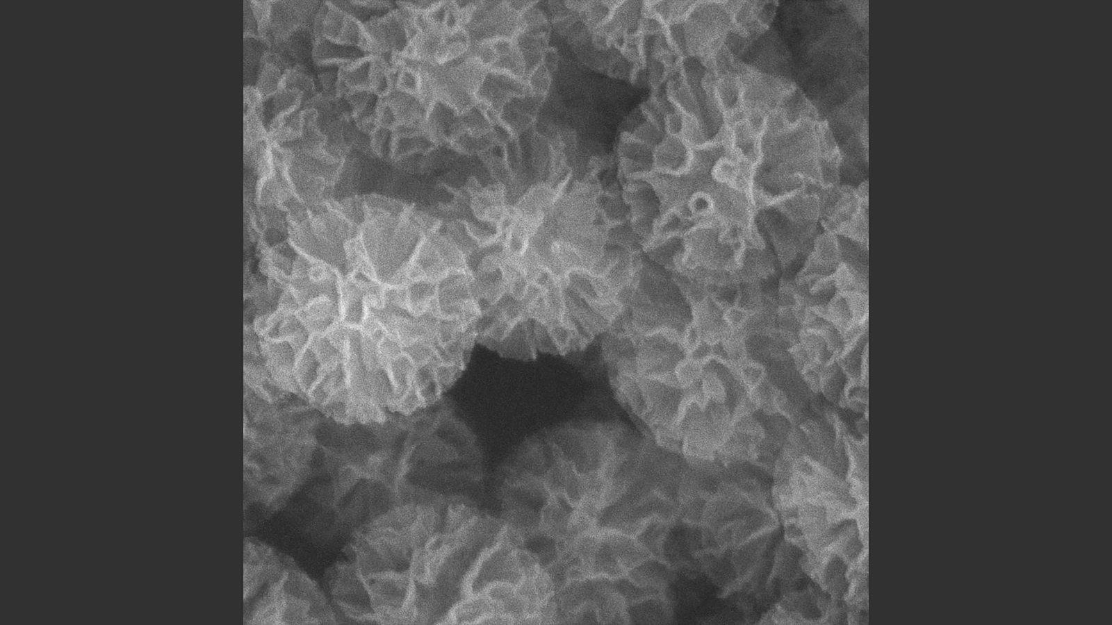 Scanning Electron Microscopy (SEM) images of the porous silica nanodevices. The exposed amount of surface area provides greater opportunity to attach to the peptide-attracting antibody fragments. (Image by Center for Nanoscale Materials, Argonne National Laboratory.)