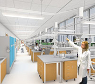 laboratory rendering