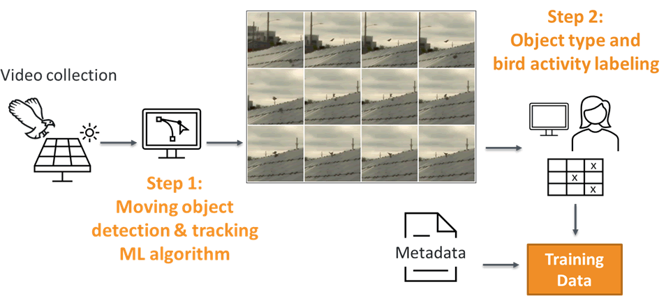 Step 1: Moving object detection & tracking ML algorithm. Step 2: Object type and bird activity labeling.