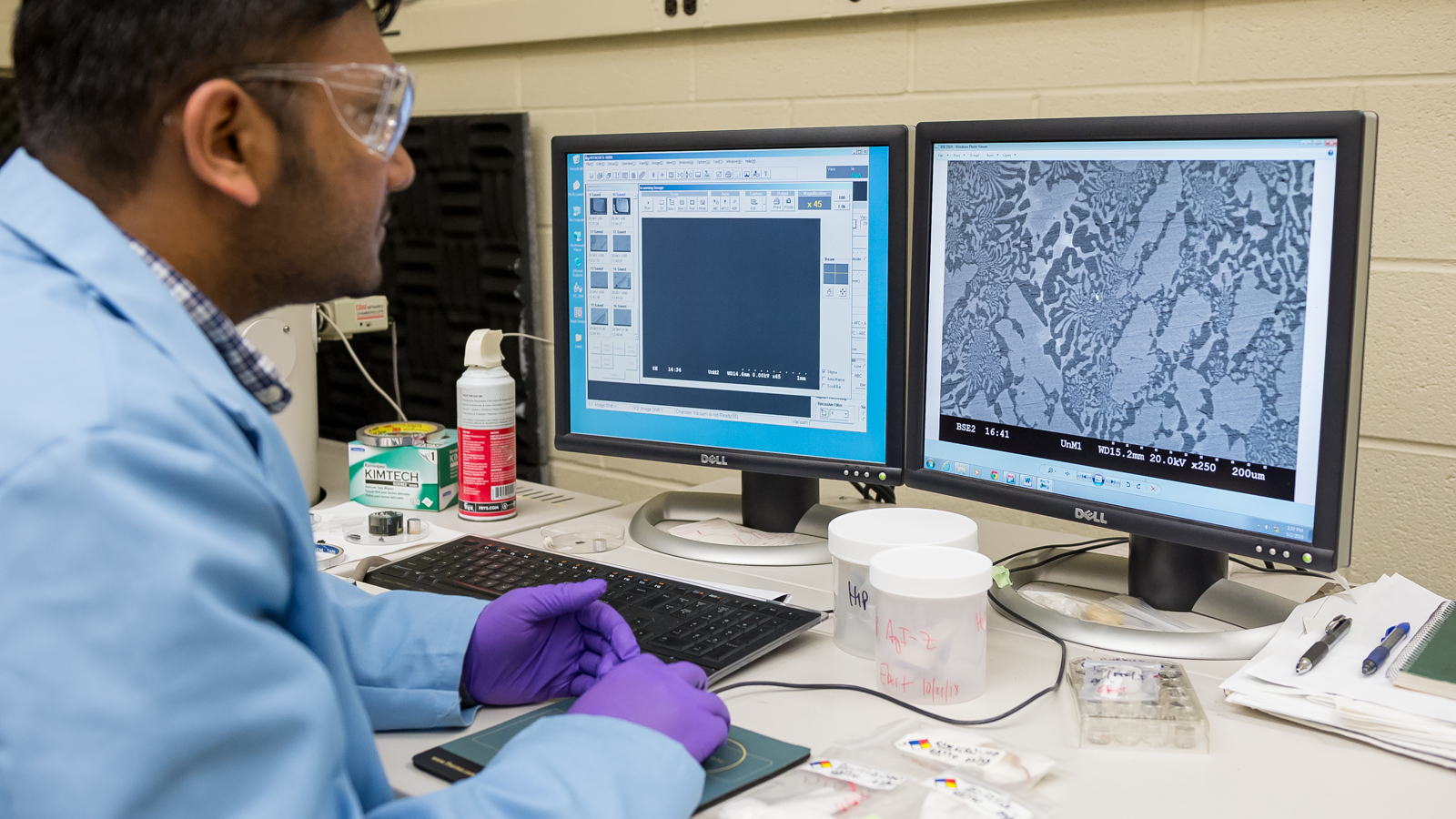 Photo of researcher looking at microscopy image on computer screen