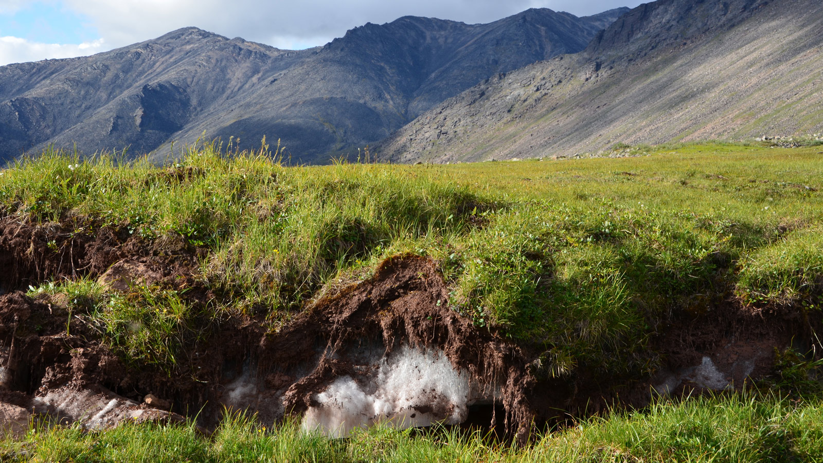 Permafrost in soil