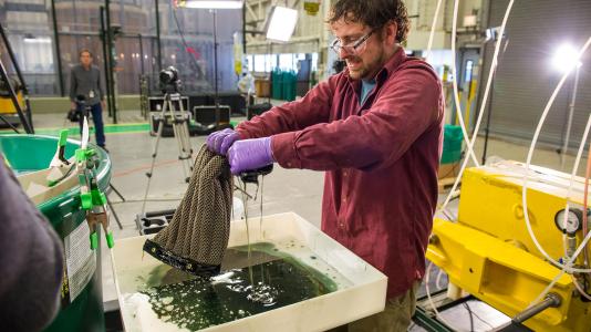 Invented a magic sponge to clean up oil spills. Argonne scientists used a nano technique to invent a new sponge material that can adsorb 90 times its own weight in oil from water—and can be reused hundreds of times.