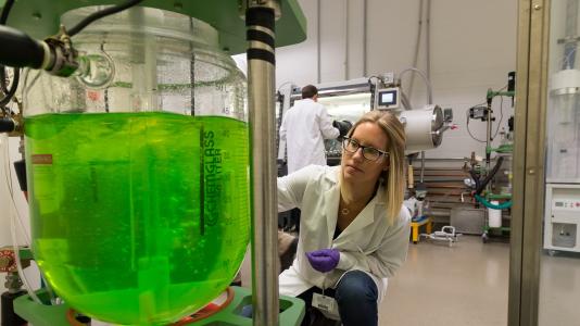 Argonne’s Materials Engineering Research Facility is a key resource for developing, validating and scaling up new materials used to advance manufacturing competitiveness. (Image by Argonne National Laboratory.)