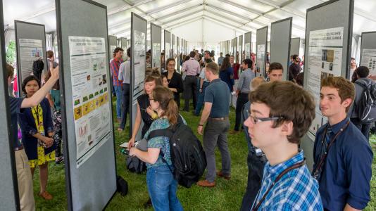 Argonne summer interns showcased their work at the end of the year Learning on the Lawn: Student Poster Symposium. (Image by Argonne National Laboratory.)