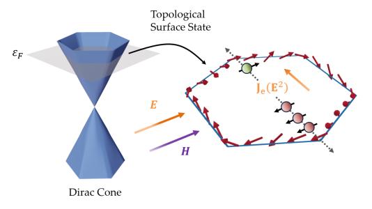 The specific relation between electronic states in a topological insulator and momentum leads to an asymmetric accumulation of spin, depicted on the right, which gives rise to an electric current to second order in an applied electric field E. (Image by Shulei Zhang / Argonne National Laboratory.)