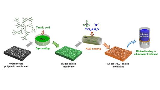 In the experiment, researchers first dip-coated a hydrophobic polymeric membrane in tannic acid (TA), a common polyphenol. Then, the dried TA dip-coated membrane is loaded into the atomic layer deposition (ALD) reactor for coating with titanium dioxide using the precursors titanium tetrachloride and water (TiCl4 and H2O). The coated membranes display minimal fouling in oil-in-water treatment. (Image by Argonne National Laboratory.)