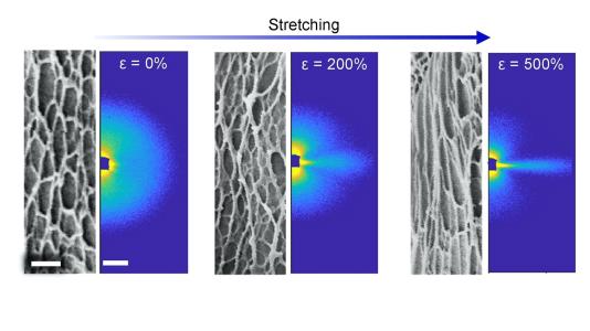 Researchers took microscopy images (black and white, left) of their new hydrogel and X-ray scattering data (in color, right) as it was stretched. The combination of techniques allowed scientists to fully characterize this durable yet flexible material.