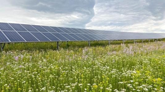 Pollinator habitat established at a solar facility in Minnesota. This study would work to better understand how these solar development designs influence soil carbon sequestration and other soil-related ecosystem services.