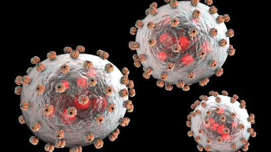 Scientists have used Argonne's APS to study a new antibody "cocktail" that can help counter the Lassa virus, responsible for thousands of deaths annually in Africa.